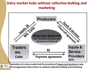 Maziwa Zaidi update: Tanzania smallholder dairy value chain development program