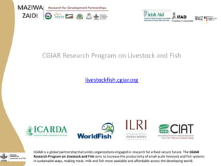 Maziwa Zaidi update: Tanzania smallholder dairy value chain development program