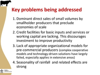 Maziwa Zaidi overview and update: Tanzania smallholder dairy value chain development program