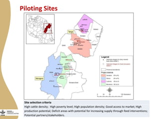 Maziwa Zaidi overview and update: Tanzania smallholder dairy value chain development program