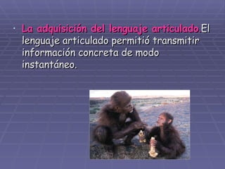 La adquisición del lenguaje articulado . El lenguaje articulado permitió transmitir información concreta de modo instantáneo. 