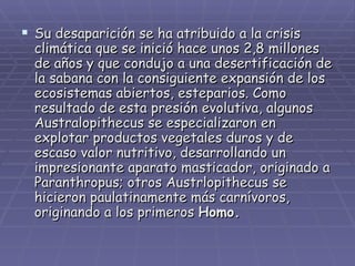 Su desaparición se ha atribuido a la crisis climática que se inició hace unos 2,8 millones de años y que condujo a una desertificación de la sabana con la consiguiente expansión de los ecosistemas abiertos, esteparios. Como resultado de esta presión evolutiva, algunos Australopithecus se especializaron en explotar productos vegetales duros y de escaso valor nutritivo, desarrollando un impresionante aparato masticador, originado a Paranthropus;   otros Austrlopithecus se hicieron paulatinamente más carnívoros, originando a los primeros  Homo. 