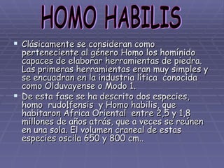 Clásicamente se consideran como perteneciente al género Homo los homínido capaces de elaborar herramientas de piedra. Las primeras herramientas eran muy simples y se encuadran en la industria lítica  conocida como Olduvayense o Modo 1.  De esta fase se ha descrito dos especies, homo  rudolfensis  y Homo habilis, que habitaron África Oriental  entre 2,5 y 1,8 millones de años atrás, que a veces se reúnen en una sola. El volumen craneal de estas especies oscila 650 y 800 cm.. HOMO HABILIS 