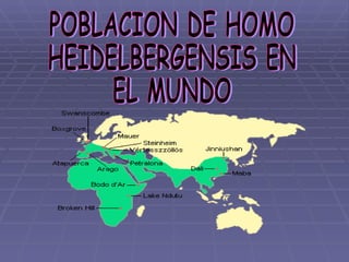 POBLACION DE HOMO  HEIDELBERGENSIS EN  EL MUNDO 