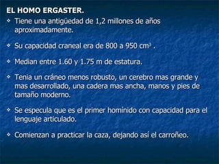 EL HOMO ERGASTER. Tiene una antigüedad de 1,2 millones de años aproximadamente. Su capacidad craneal era de 800 a 950 cm 3  . Median entre 1.60 y 1.75 m de estatura. Tenia un cráneo menos robusto, un cerebro mas grande y mas desarrollado, una cadera mas ancha, manos y pies de tamaño moderno. Se especula que es el primer homínido con capacidad para el lenguaje articulado. Comienzan a practicar la caza, dejando así el carroñeo. 