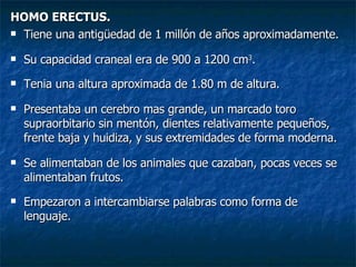 HOMO ERECTUS. Tiene una antigüedad de 1 millón de años aproximadamente. Su capacidad craneal era de 900 a 1200 cm 3 . Tenia una altura aproximada de 1.80 m de altura. Presentaba un cerebro mas grande, un marcado toro supraorbitario sin mentón, dientes relativamente pequeños, frente baja y huidiza, y sus extremidades de forma moderna. Se alimentaban de los animales que cazaban, pocas veces se alimentaban frutos. Empezaron a intercambiarse palabras como forma de lenguaje. 