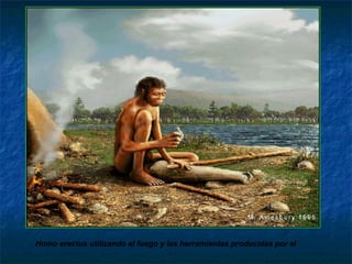 Homo erectus utilizando el fuego y las herramientas producidas por el 