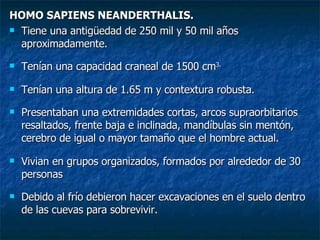 HOMO SAPIENS NEANDERTHALIS. Tiene una antigüedad de 250 mil y 50 mil años aproximadamente. Tenían una capacidad craneal de 1500 cm 3. Tenían una altura de 1.65 m y contextura robusta. Presentaban una extremidades cortas, arcos supraorbitarios resaltados, frente baja e inclinada, mandíbulas sin mentón, cerebro de igual o mayor tamaño que el hombre actual. Vivian en grupos organizados, formados por alrededor de 30 personas Debido al frío debieron hacer excavaciones en el suelo dentro de las cuevas para sobrevivir.  