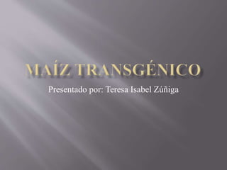 Presentado por: Teresa Isabel Zúñiga
 