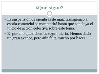 ¿Qué sigue?
 La suspensión de siembras de maíz transgénico a
escala comercial se mantendrá hasta que concluya el
juicio de acción colectiva sobre este tema.
 Es por ello que debemos seguir alerta. Hemos dado
un gran avance, pero aún falta mucho por hacer.
 