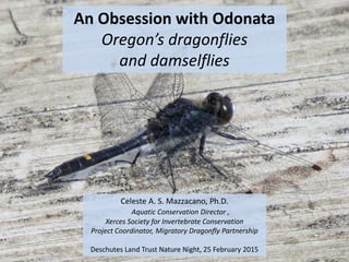 Celeste A. S. Mazzacano, Ph.D.
Aquatic Conservation Director ,
Xerces Society for Invertebrate Conservation
Project Coordinator, Migratory Dragonfly Partnership
Deschutes Land Trust Nature Night, 25 February 2015
An Obsession with Odonata
Oregon’s dragonflies
and damselflies
 