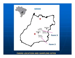 GOIAS
FARMS LOCATION AND SAMPLING SITES
Farm 3
Farm 2
 