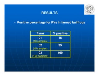 RESULTSRESULTS
•• Positive percentage for RVs in farmed bullfrogsPositive percentage for RVs in farmed bullfrogs
Farm % positive
01 1501
(40 samples)
15
02
(45 samples)
35
03
(150 samples)
100
 