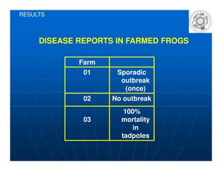 RESULTS
DISEASE REPORTS IN FARMED FROGSDISEASE REPORTS IN FARMED FROGS
Farm
01 Sporadic
outbreak
(once)(once)
02 No outbreak
03
100%
mortality
in
tadpoles
 