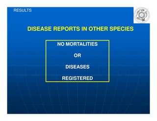 RESULTS
DISEASE REPORTS IN OTHER SPECIESDISEASE REPORTS IN OTHER SPECIES
NO MORTALITIES
OR
DISEASES
REGISTERED
 