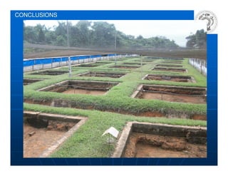 CONCLUSIONS
Farmed FrogsFarmed Frogs
•• High to moderate presence of RVsHigh to moderate presence of RVs
Farms with High RV prevalenceFarms with High RV prevalenceFarms with High RV prevalenceFarms with High RV prevalence
•• Poor managementPoor management
•• Whole cycleWhole cycle
•• High densitiesHigh densities
•• No biosecurity measuresNo biosecurity measures
 