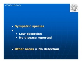 CONCLUSIONS
Sympatric speciesSympatric species
•• Low detectionLow detection
•• No disease reportedNo disease reported
Other areasOther areas = No detection= No detection
 