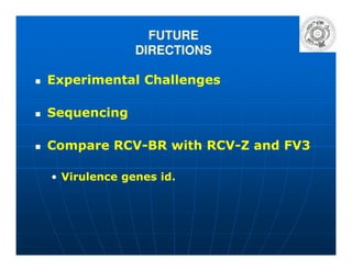 FUTURE
DIRECTIONS
Experimental ChallengesExperimental Challenges
SequencingSequencing
Compare RCVCompare RCV--BR with RCVBR with RCV--Z and FV3Z and FV3
•• Virulence genes id.Virulence genes id.
 