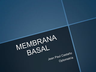 Membrana Basal