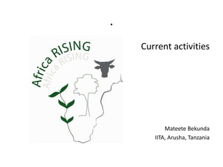 .
    Current activities




           Mateete Bekunda
       IITA, Arusha, Tanzania
 
