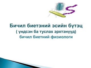 Бичил биетэний эсийн бүтэц
( үндсэн ба туслах эрхтэнүүд)
бичил биетний физиологи

 