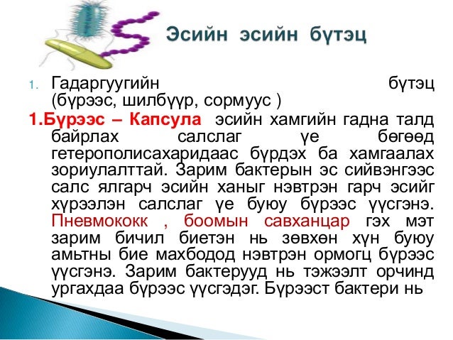 Mb l2