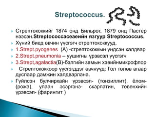 








Стрептококкийг 1874 онд Бильрот, 1879 онд Пастер
нээсэн.Streptococcaceaeийн язгуур Streptococcus.
Хүний биед өвчин үүсгэгч стрептококкууд.
1.Strept.pyogenes (A) -стрептококкын үндсэн халдвар
2.Strept.pneumonia – уушигны үрэвсэл үүсгэгч
3.Strept,agalactia(В)-бэлгийн замын хэвийнмикрофлор
Стрептококкоор үүсгэгддэг өвчнүүд: Гол төлөв агаар
дуслаар дамжин халдварлана.
Гүйлсэн булчирхайн үрэвсэл- (тонзиллит), ѐлом(рожа), улаан эсэргэнэ- скарлатин, төвөнхийн
үрэвсэл- (фарингит )

 