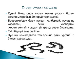 







Хүний биед олон янзын өвчин үүсгэгч болон
энгийн микробын 20 гаруй төрлүүдтэй.
Бөөрөнхийдүү буюу зууван хэлбэртэй, эсүүд нь
хосолсон,
гинж
хэлбэртэй
.хөдөлгөөнгүй, үршдэггүй, грамд эерэг будагдана.
Туйлбаргүй агааргүйтэн.
Цус ны нэмэгдэлтэй тэж.орчинд сайн ургана. 3
бүлэгт хуваагддаг.

 