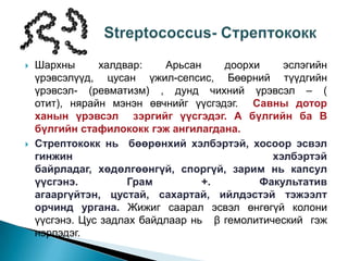 



Шархны
халдвар:
Арьсан
доорхи
эслэгийн
үрэвсэлүүд, цусан үжил-сепсис, Бөөрний түүдгийн
үрэвсэл- (ревматизм) , дунд чихний үрэвсэл – (
отит), нярайн мэнэн өвчнийг үүсгэдэг. Савны дотор
ханын үрэвсэл зэргийг үүсгэдэг. А бүлгийн ба В
бүлгийн стафилококк гэж ангилагдана.
Стрептококк нь бөөрөнхий хэлбэртэй, хосоор эсвэл
гинжин
хэлбэртэй
байрладаг, хөдөлгөөнгүй, споргүй, зарим нь капсул
үүсгэнэ.
Грам
+.
Факультатив
агааргүйтэн, цустай, сахартай, ийлдэстэй тэжээлт
орчинд ургана. Жижиг саарал эсвэл өнгөгүй колони
үүсгэнэ. Цус задлах байдлаар нь β гемолитический гэж
нэрлэдэг.

 