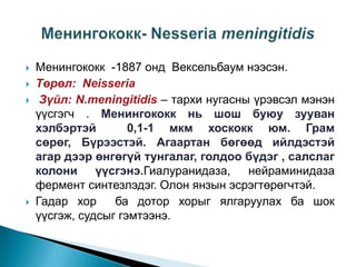 





Менингококк -1887 онд Вексельбаум нээсэн.
Төрөл: Neisseria
Зүйл: N.meningitidis – тархи нугасны үрэвсэл мэнэн
үүсгэгч . Менингококк нь шош буюу зууван
хэлбэртэй
0,1-1 мкм хоскокк юм. Грам
сөрөг, Бүрээстэй. Агаартан бөгөөд ийлдэстэй
агар дээр өнгөгүй тунгалаг, голдоо бүдэг , салслаг
колони
үүсгэнэ.Гиалуранидаза,
нейраминидаза
фермент синтезлэдэг. Олон янзын эсрэгтөрөгчтэй.
Гадар хор
ба дотор хорыг ялгаруулах ба шок
үүсгэж, судсыг гэмтээнэ.

 