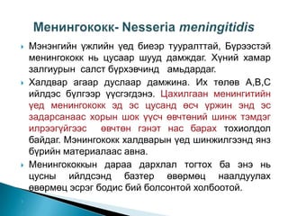 








Мэнэнгийн үжлийн үед биеэр тууралттай, Бүрээстэй
менингококк нь цусаар шууд дамждаг. Хүний хамар
залгиурын салст бүрхэвчинд амьдардаг.
Халдвар агаар дуслаар дамжина. Их төлөв А,В,С
ийлдэс бүлгээр үүсгэгдэнэ. Цахилгаан менингитийн
үед менингококк эд эс цусанд өсч үржин энд эс
задарсанаас хорын шок үүсч өвчтөний шинж тэмдэг
илрээгүйгээс өвчтөн гэнэт нас барах тохиолдол
байдаг. Мэнингококк халдварын үед шинжилгээнд янз
бүрийн материалаас авна.
Менингококкын дараа дархлал тогтох ба энэ нь
цусны ийлдсэнд базтер өвөрмөц наалдуулах
өвөрмөц эсрэг бодис бий болсонтой холбоотой.

 