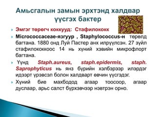 






Эмгэг төрөгч коккууд: Стафилококк
Micrococcaceae-язгуур , Staphylococcus-н төрөлд
багтана. 1880 онд Луй Пастер анх илрүүлсэн. 27 зүйл
стафилококкоос 14 нь хүний хэвийн микрофлорт
багтана.
Үүнд
Staph.aureus,
staph.epidermis,
staph.
Saprophyticus нь янз бүрийн хэлбэрээр илэрдэг
идээрт үрэвсэл болон халдварт өвчин үүсгэдэг.
Хүний бие махбодод агаар тоосоор, агаар
дуслаар, арьс салст бүрхэвчээр нэвтрэн орно.

 