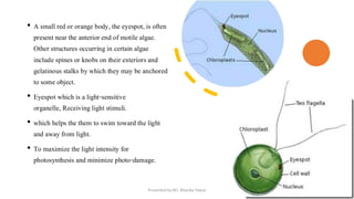 MB-MJ-201_Unit_3 (Algae). Introduction to classification | PDF