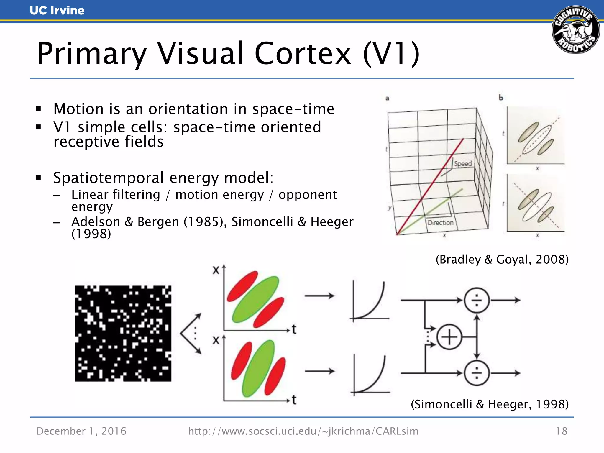  Motion is an orientation in space-time
 V1 simple cells: space-time oriented
receptive fields
 Spatiotemporal energy model:
– Linear filtering / motion energy / opponent
energy
– Adelson & Bergen (1985), Simoncelli & Heeger
(1998)
December 1, 2016 18
Primary Visual Cortex (V1)
(Simoncelli & Heeger, 1998)
(Bradley & Goyal, 2008)
http://www.socsci.uci.edu/~jkrichma/CARLsim
 