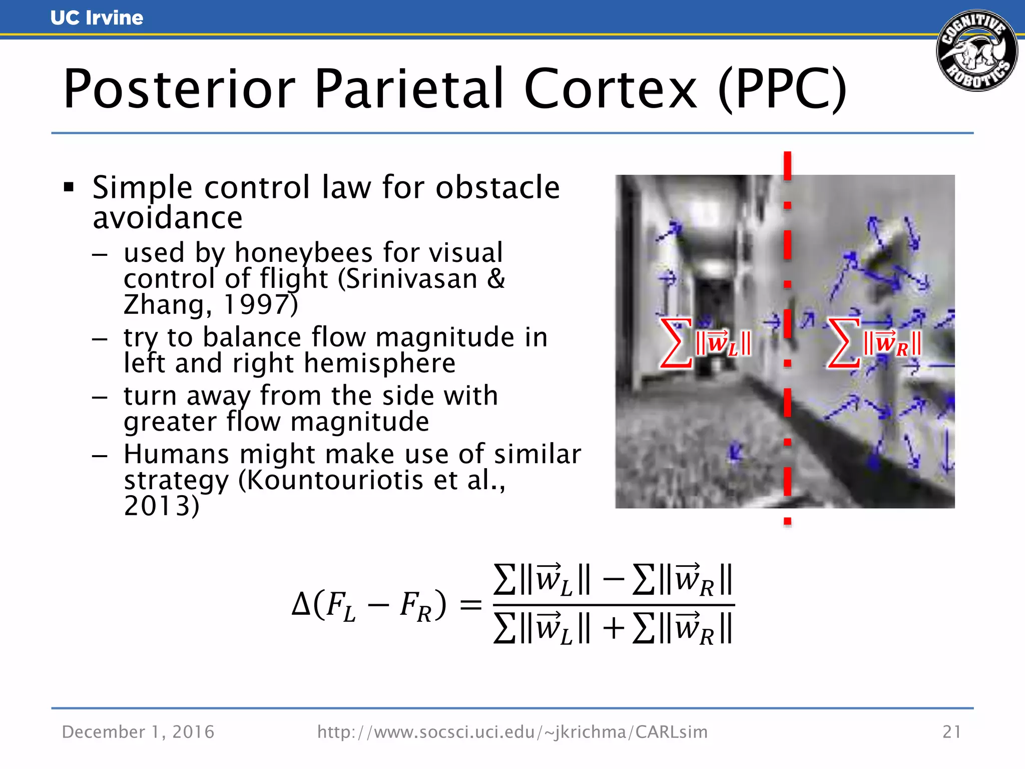 December 1, 2016 21
 Simple control law for obstacle
avoidance
– used by honeybees for visual
control of flight (Srinivasan &
Zhang, 1997)
– try to balance flow magnitude in
left and right hemisphere
– turn away from the side with
greater flow magnitude
– Humans might make use of similar
strategy (Kountouriotis et al.,
2013)
Posterior Parietal Cortex (PPC)
𝒘 𝑳 𝒘 𝑹
Δ 𝐹𝐿 − 𝐹𝑅 =
𝑤 𝐿 − 𝑤 𝑅
𝑤 𝐿 + 𝑤 𝑅
http://www.socsci.uci.edu/~jkrichma/CARLsim
 