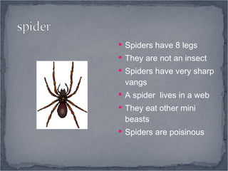 Spiders have 8 legs They are not an insect Spiders have very sharp vangs A spider  lives in a web They eat other mini beasts Spiders are poisinous 
