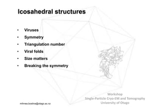 • Viruses
• Symmetry
• Triangulation number
• Viral folds
• Size matters
• Breaking the symmetry
Icosahedral structures
Workshop	
Single-Particle	Cryo-EM	and	Tomography
University	of	Otagomihnea.bostina@otago.ac.nz
 