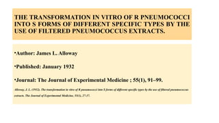 Pneumococcus Transformation In Vitro Transformation of R Pneumococci into S Forms Using Filtered ...