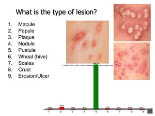 Maculated Pathology of Skin - Introduction | PPT