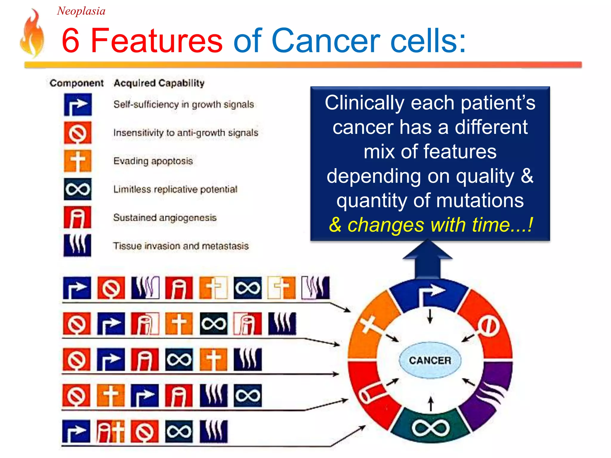 Neoplasia 
6 Features of Cancer cells: 
Clinically each patient’s 
cancer has a different 
mix of features 
depending on quality & 
quantity of mutations 
& changes with time...! 
 
