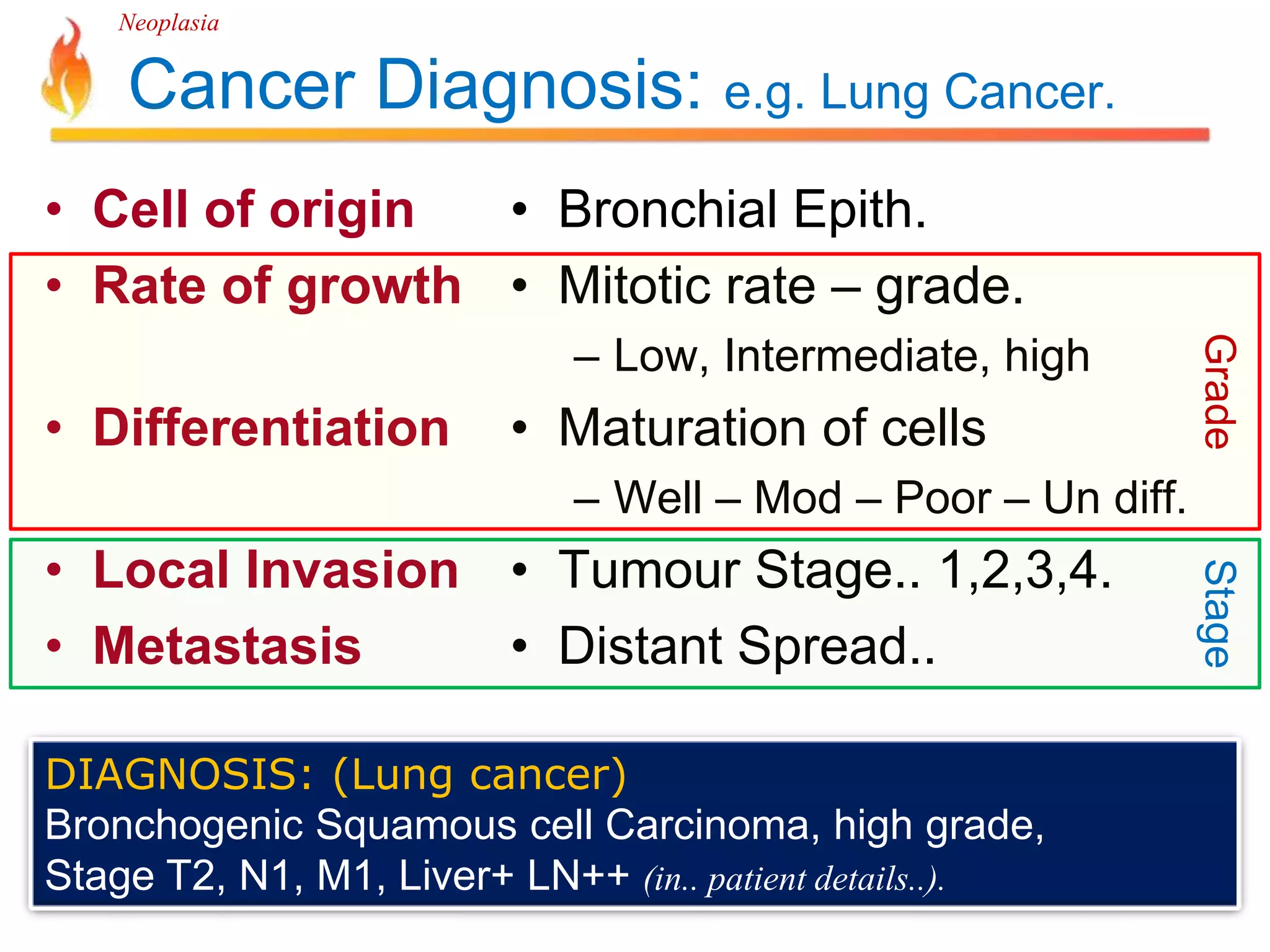 Neoplasia 
Cancer Diagnosis: e.g. Lung Cancer. 
• Cell of origin 
• Rate of growth 
• Differentiation 
• Local Invasion 
• Metastasis 
• Bronchial Epith. 
• Mitotic rate – grade. 
– Low, Intermediate, high 
• Maturation of cells 
– Well – Mod – Poor – Un diff. 
• Tumour Stage.. 1,2,3,4. 
• Distant Spread.. 
DIAGNOSIS: (Lung cancer) 
Bronchogenic Squamous cell Carcinoma, high grade, 
Stage T2, N1, M1, Liver+ LN++ (in.. patient details..). 
Grade Stage 
 
