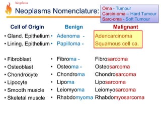 Neoplasia 
Neoplasms Nomenclature: 
Oma - Tumour 
Carcin-oma – Hard Tumour 
Sarc-oma - Soft Tumour 
Benign Malignant 
• Adenoma - Adencarcinoma 
• Papilloma - Squamous cell ca. 
• Fibroma - Fibrosarcoma 
• Osteoma - Osteosarcoma 
• Chondroma Chondrosarcoma 
• Lipoma Liposarcoma 
• Leiomyoma Leiomyosarcoma 
• Rhabdomyoma Rhabdomyosarcoma 
Cell of Origin 
• Gland. Epithelium 
• Lining. Epithelium 
• Fibroblast 
• Osteoblast 
• Chondrocyte 
• Lipocyte 
• Smooth muscle 
• Skeletal muscle 
 