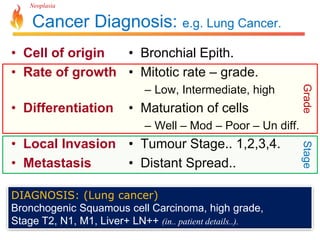 Neoplasia 
Cancer Diagnosis: e.g. Lung Cancer. 
• Cell of origin 
• Rate of growth 
• Differentiation 
• Local Invasion 
• Metastasis 
• Bronchial Epith. 
• Mitotic rate – grade. 
– Low, Intermediate, high 
• Maturation of cells 
– Well – Mod – Poor – Un diff. 
• Tumour Stage.. 1,2,3,4. 
• Distant Spread.. 
DIAGNOSIS: (Lung cancer) 
Bronchogenic Squamous cell Carcinoma, high grade, 
Stage T2, N1, M1, Liver+ LN++ (in.. patient details..). 
Grade Stage 
 