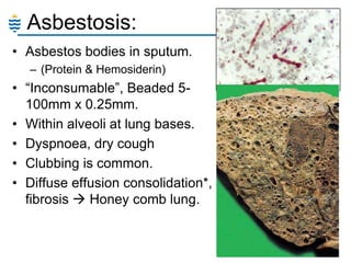 Asbestosis:
• Asbestos bodies in sputum.
– (Protein & Hemosiderin)

• ―Inconsumable‖, Beaded 5100mm x 0.25mm.
• Within alveoli at lung bases.
• Dyspnoea, dry cough
• Clubbing is common.
• Diffuse effusion consolidation*,
fibrosis  Honey comb lung.

 