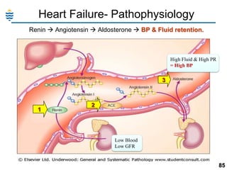 Heart Failure- Pathophysiology
Renin  Angiotensin  Aldosterone  BP & Fluid retention.

High Fluid & High PR
= High BP

3

1

2

Low Blood
Low GFR

85

 