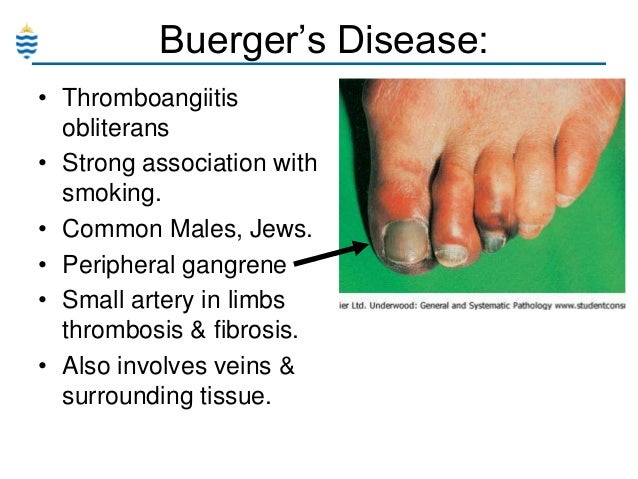 Pathology Review-Term1