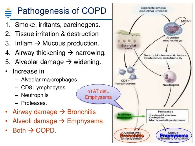 a description of the different respiratory problems bronchitis emphysema asthma and poliomyelitis What is copd chronic obstructive pulmonary disease (copd) is an umbrella term used to describe progressive lung diseases including emphysema, chronic bronchitis, and refractory (non-reversible) asthma. a description of the different respiratory problems bronchitis emphysema asthma and poliomyelitis What is copd chronic obstructive pulmonary disease (copd) is an umbrella term used to describe progressive lung diseases including emphysema, chronic bronchitis, and refractory (non-reversible) asthma.