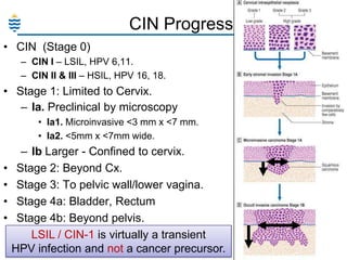 CIN Progression:
• CIN (Stage 0)
– CIN I – LSIL, HPV 6,11.
– CIN II & III – HSIL, HPV 16, 18.

• Stage 1: Limited to Cervix.
– Ia. Preclinical by microscopy
• Ia1. Microinvasive <3 mm x <7 mm.
• Ia2. <5mm x <7mm wide.

•
•
•
•

– Ib Larger - Confined to cervix.
Stage 2: Beyond Cx.
Stage 3: To pelvic wall/lower vagina.
Stage 4a: Bladder, Rectum
Stage 4b: Beyond pelvis.
LSIL / CIN-1 is virtually a transient
HPV infection and not a cancer precursor.

11

 