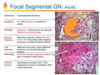 Focal Segmental GN: Adults
Synonyms:

Focal segmental Sclerosis

Incidence:

10 - 35% of nephrotic syndrome in
adults.

Etiology:

Idiopathic - ? Auto Immune. No deposits.
(Similar to minimal change).

Clinical
Features:

Nephrotic syndrome. History of recent
URI in 30%. Association with Hodgkin’s
lymphoma. Overlap with MCD patients.

Lab
Features:

Nephrotic urine (more, clear) Selective
proteinuria. No specific laboratory
findings.
Podocyte damage, Segmental collapse of
glom. increase in matrix (pink).

Pathology:

Clinical
Course:

Spontaneous remission 30% , 50%
progression to chronic renal failure, 20%
rapid progression.

 