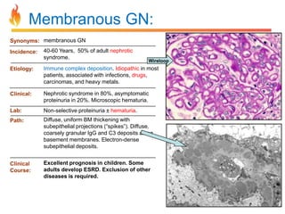 Membranous GN:
Synonyms: membranous GN
Incidence:

40-60 Years, 50% of adult nephrotic
syndrome.

Wireloop

Etiology:

Immune complex deposition. Idiopathic in most
patients, associated with infections, drugs,
carcinomas, and heavy metals.

Clinical:

Nephrotic syndrome in 80%, asymptomatic
proteinuria in 20%. Microscopic hematuria.

Lab:

Non-selective proteinuria ± hematuria.

Path:

Diffuse, uniform BM thickening with
subepithelial projections (“spikes”). Diffuse,
coarsely granular IgG and C3 deposits along
basement membranes. Electron-dense
subepithelial deposits.

Clinical
Course:

Excellent prognosis in children. Some
adults develop ESRD. Exclusion of other
diseases is required.

 